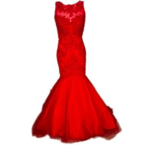 Gorgeous Clarisse Red Fit & Flare Prom Dress with Sequined Appliqué size 4